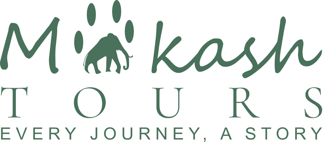 Makash Tours Logo