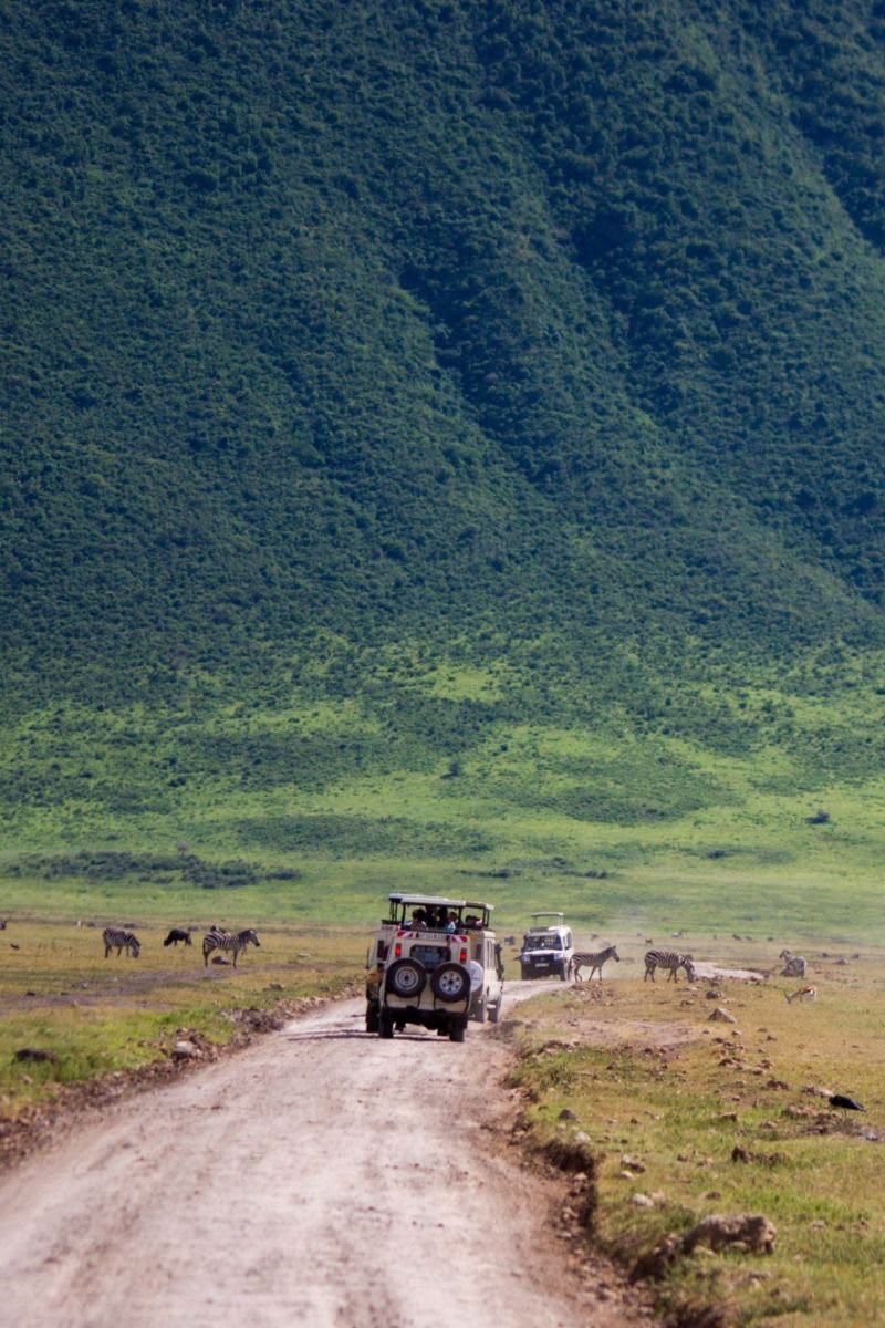 Tanzania safari moment